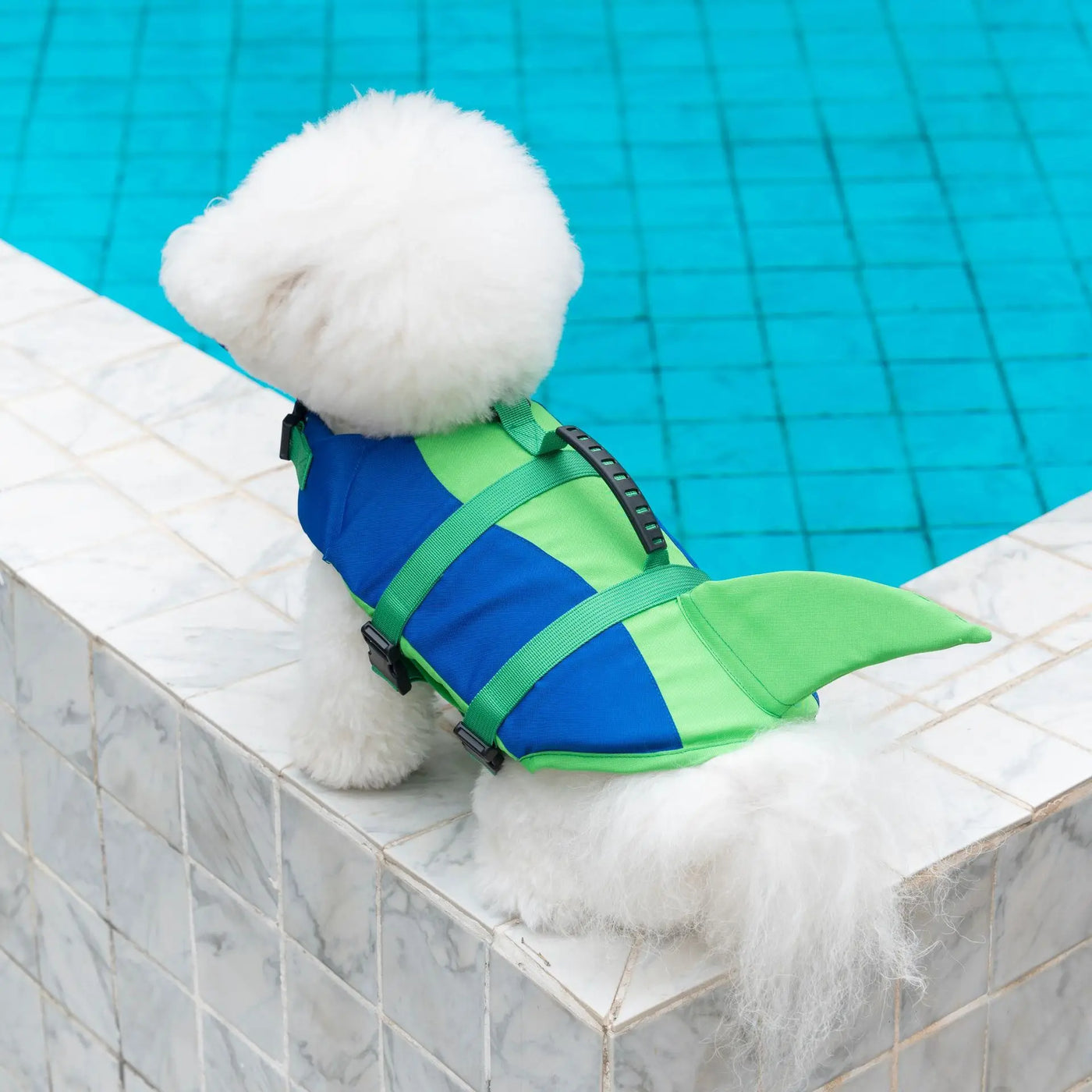 Flotador Canino