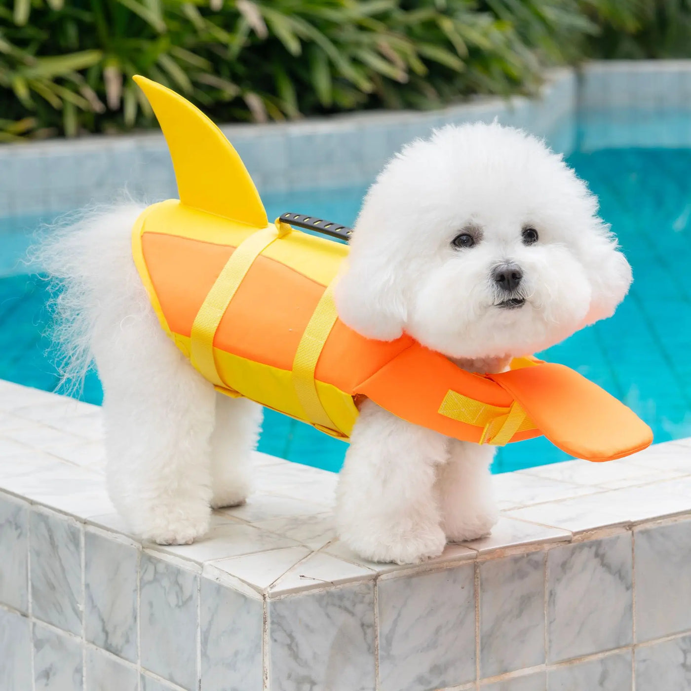 Flotador Canino