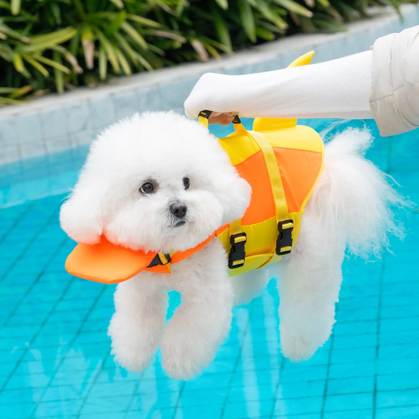 Flotador Canino